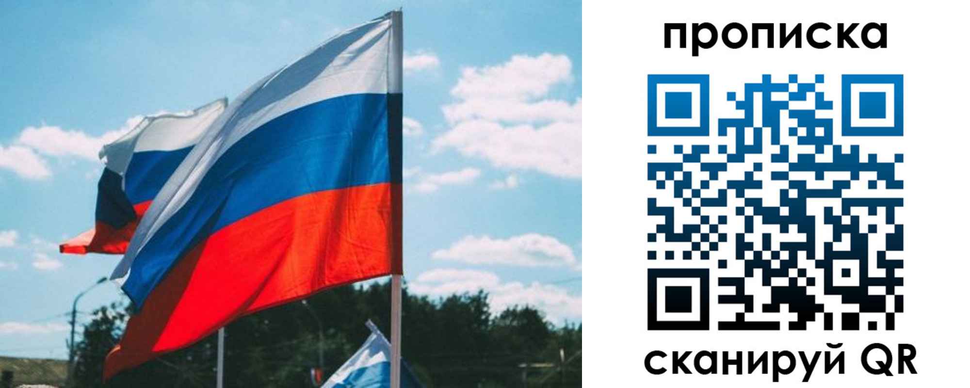 прописка поиск в Владимирской области